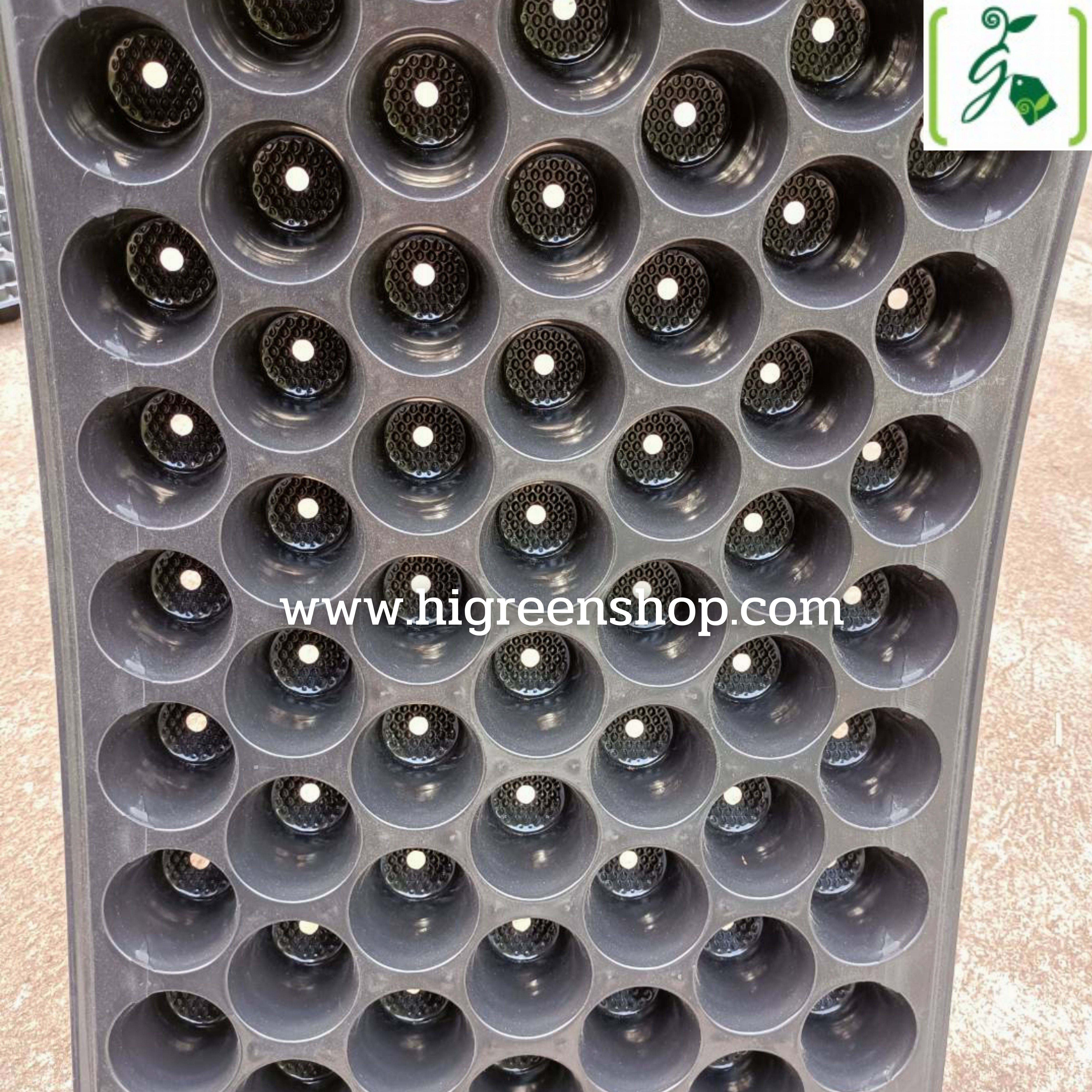 ถาดหลุมเพาะกล้าสีดำ 60 หลุม(100แผ่น/กล่อง)