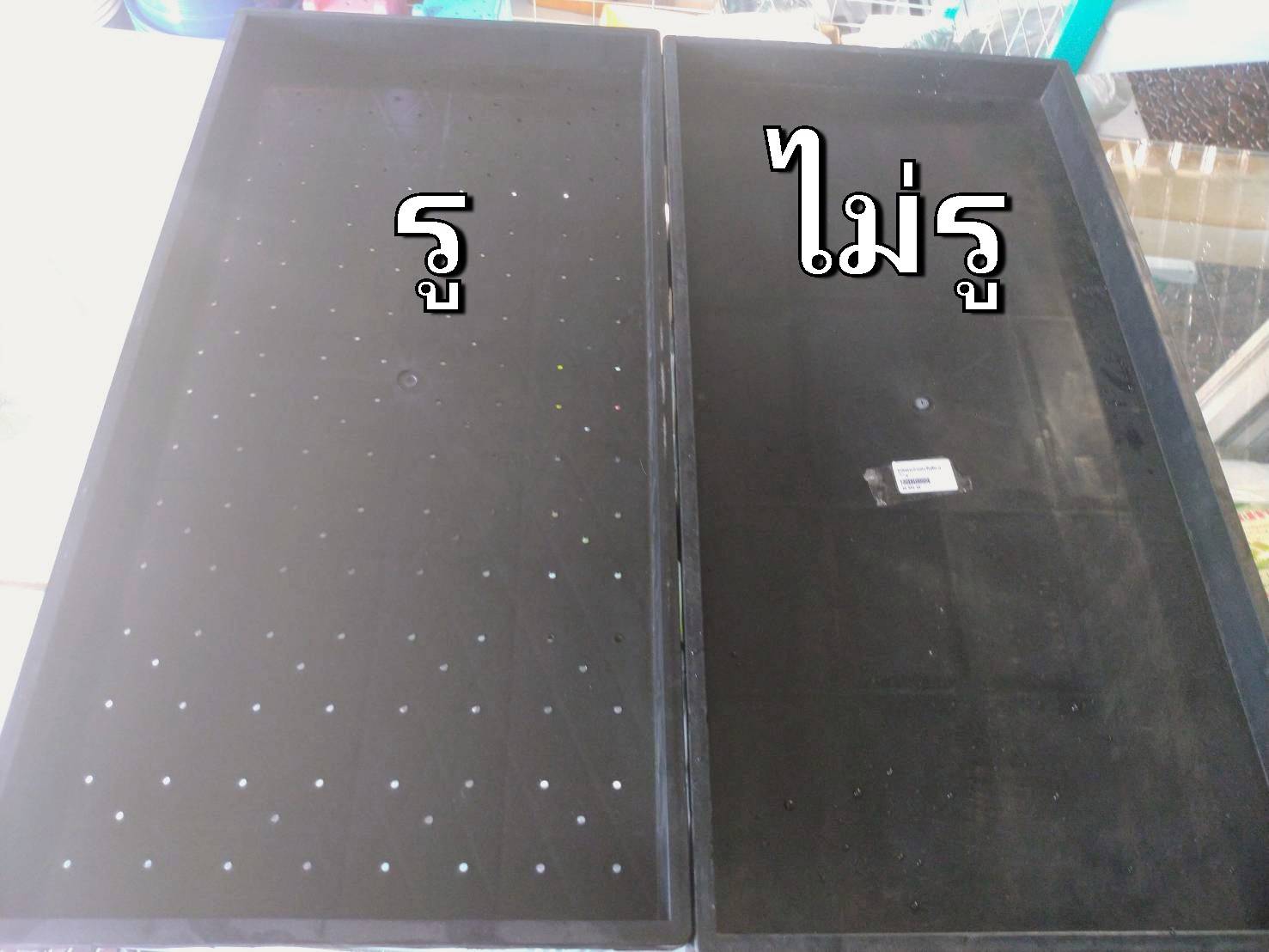 ถาดเพาะต้นอ่อนทานตะวันแบบ ไม่มีรู จำนวน 2 ถาด