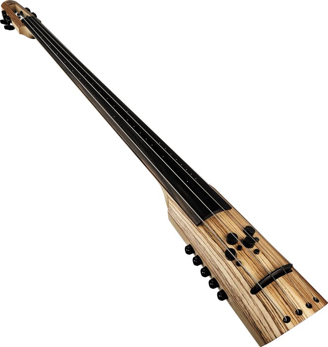 NS Design CR Series CR-4M Electric Upright Double Bass