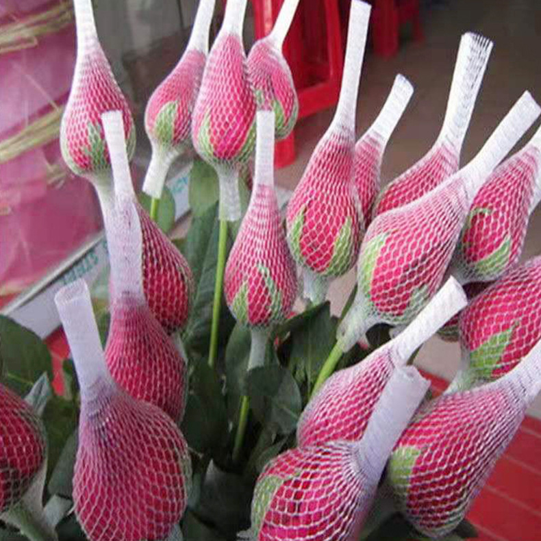 ใหม่!!! ตาข่ายห่อกุหลาบ แบบใส ไม่เปื่อยยุ่ย คนทำสวนกุหลาบนิยมใช้มาก เนื้อบางเบา กันกระแทกขั้นสุด ตาข่ายโฟมห่อดอกกุหลาบ แบบใส ตาข่ายห่อมะยงชิด เพื่อคงรูปทรงให้สวย ไม่เสียหายระหว่างขนส่ง จำนวน 1 กก.