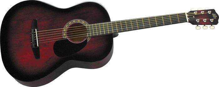 Rogue Starter Acoustic Guitar