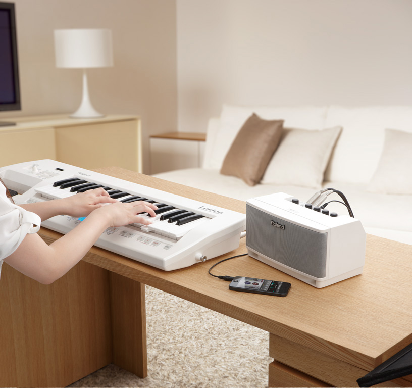 Roland CUBE Lite Monitor