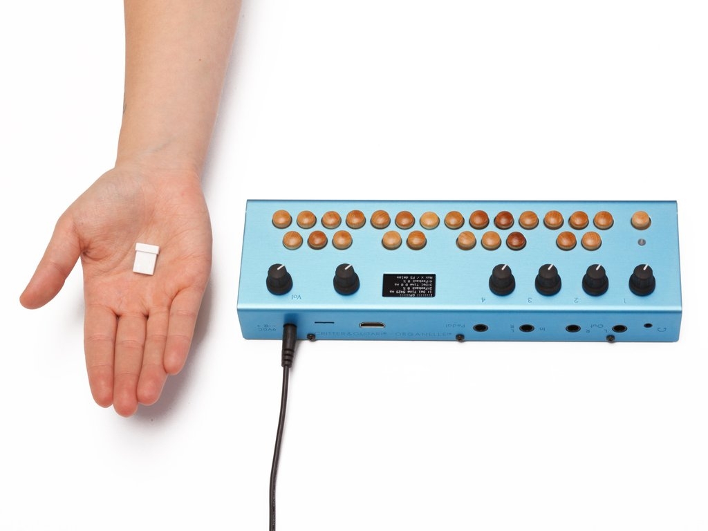 Critter & Guitari Organelle