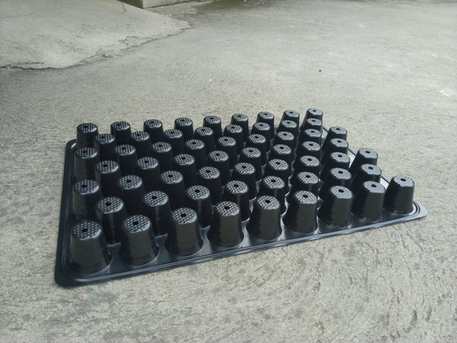 ถาดหลุมเพาะกล้าสีดำ 60 หลุม