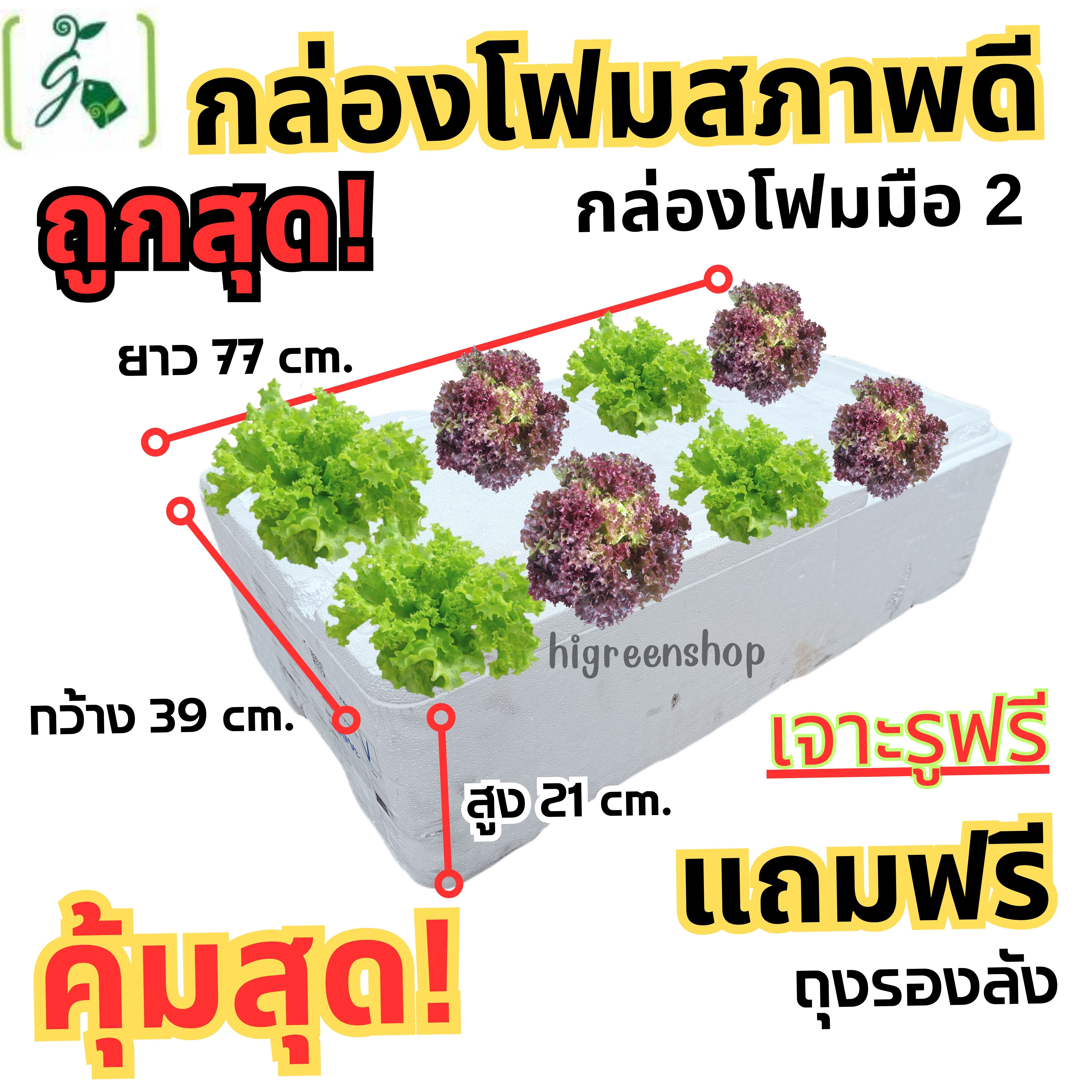 กล่องโฟมมือ 2 กล่องเปล่า กล่องปลา (สูง 21 cm.) กล่องปลูกผักไฮโดรโปนิกส์ เจาะรูฟรี + แถมถุงรองลัง เจาะรูสลัด 8 ต้น หรือผักไทย 24 ต้น เลือกได้ เซต 20 ลัง