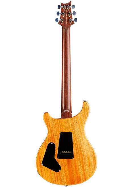 PRS Wood Library Floyd Custom 24 Flame Maple 10 Top Rosewood Neck Electric Guitar