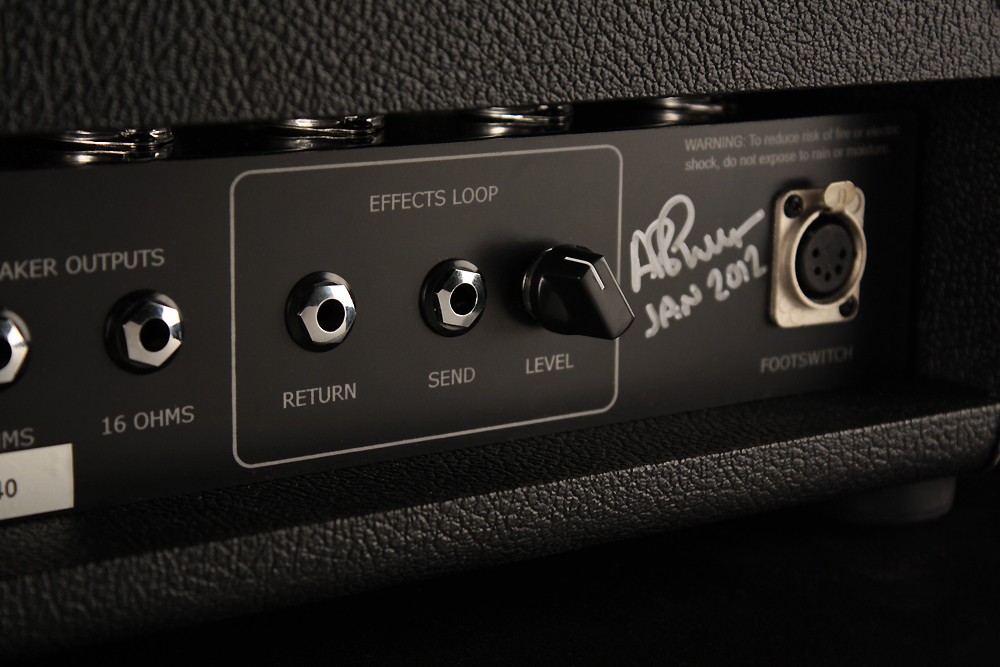 Carol-Ann Triptik - 100 Watt