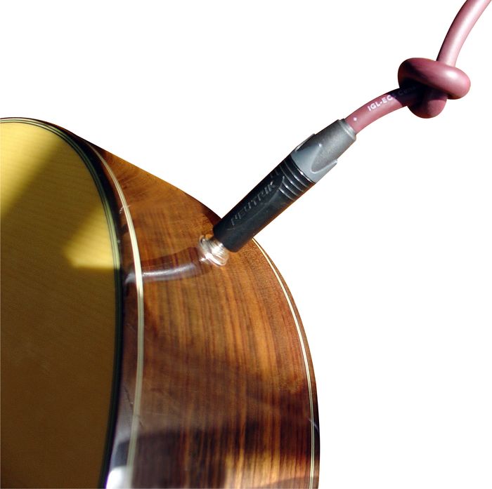 Evidence Audio The Forte Instrument Cable