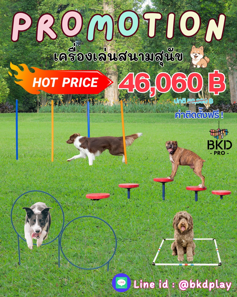 เครื่องเล่นสนามสุนัขจัดเซ็ท ราคาโปรโมชั่น 46,060 บาท, ฝึกสุนัข ,อุปกรณ์เสริมน้องหมา dog playground