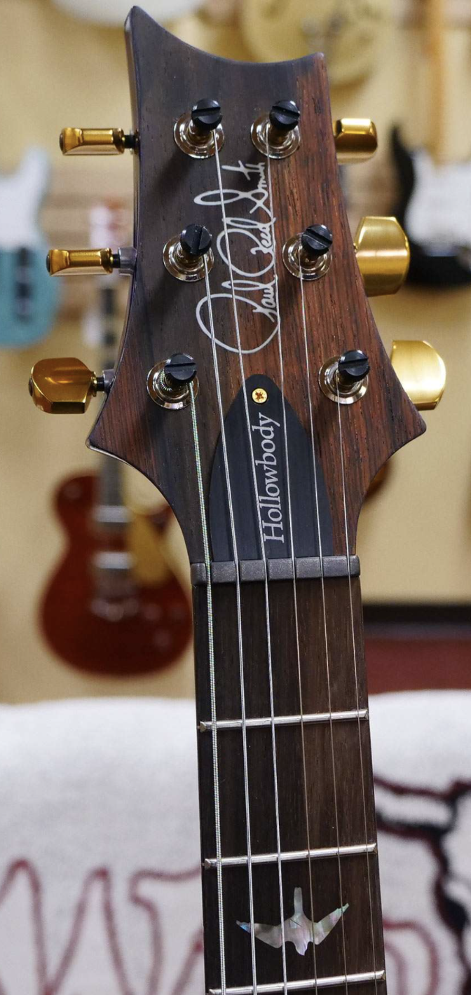 PRS WOOD LIBRARY 10 TOP HOLLOWBODY I PIEZO FLAME NECK BRAZILIAN ROSEWOOD BOARD VIOLET BLUE BURST