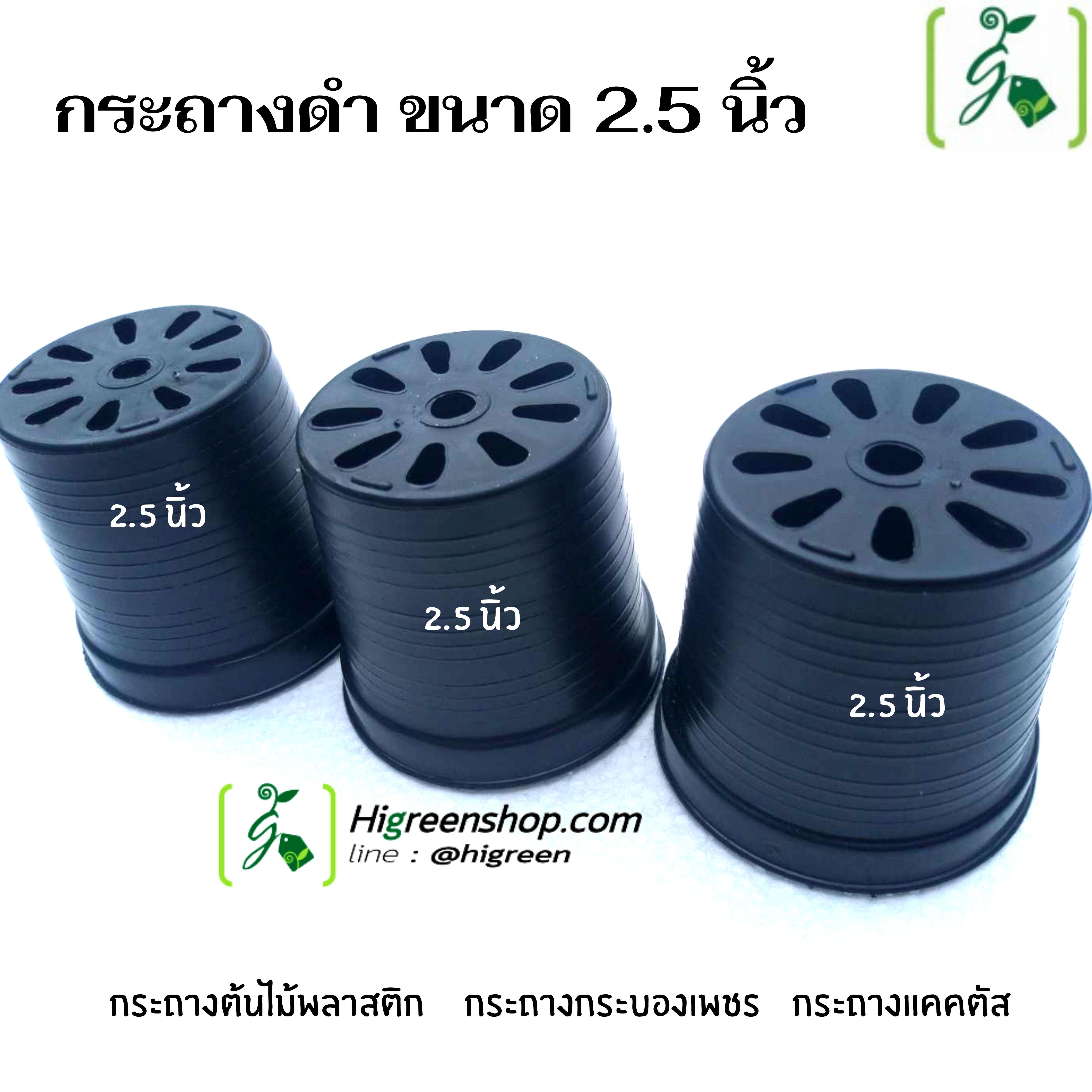 กระถางดำ ขนาด 2.5 นิ้ว / จำนวน 100 ใบ