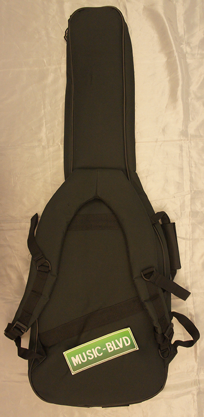 Fretlight FG-521 Electric Guitar with Built-in Lighted Learning System