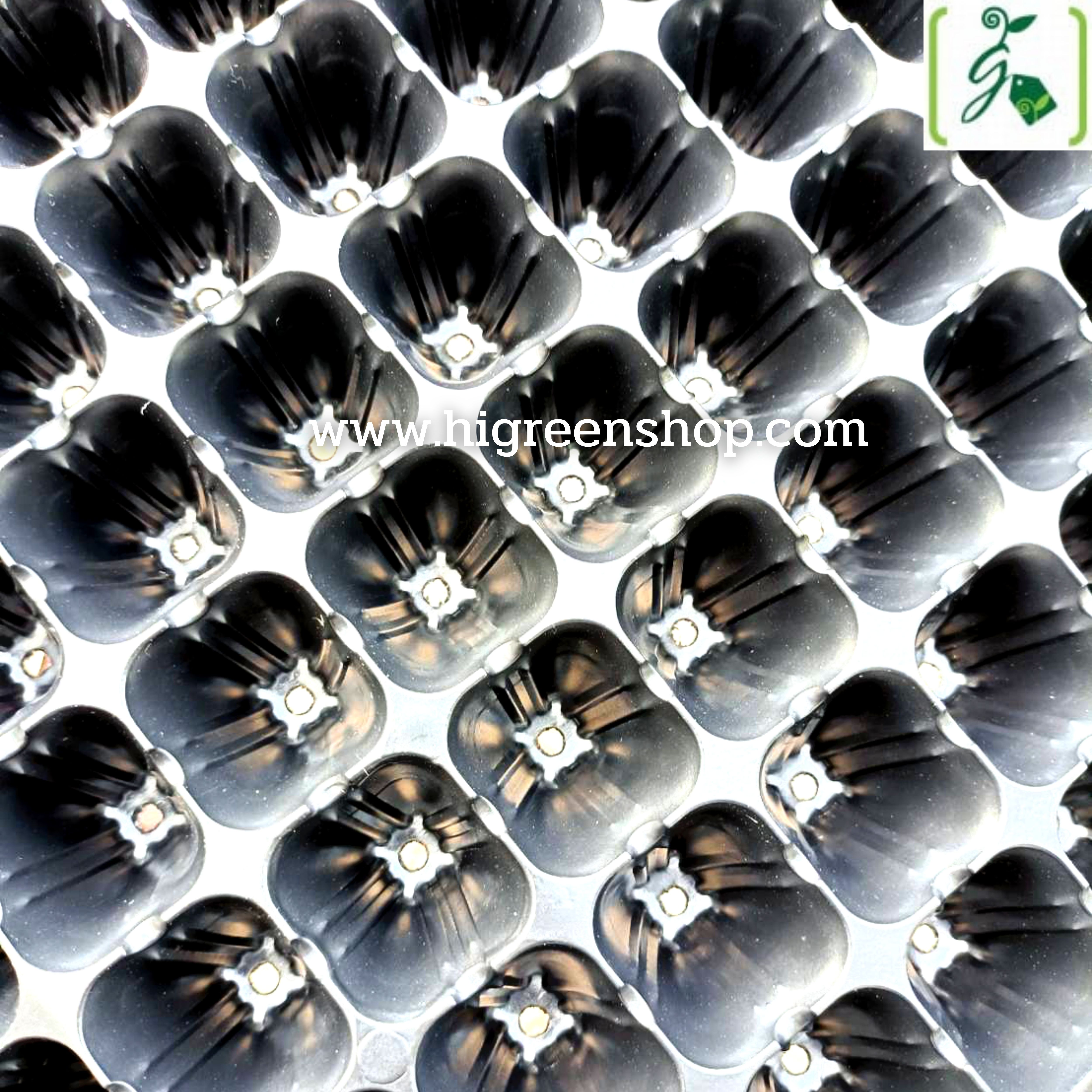 ถาดหลุมเพาะกล้าสีดำ 105 หลุม