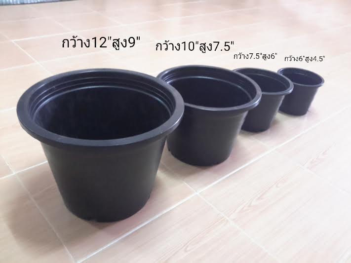 Aกระถางดำ ขนาด 6 นิ้ว 1000 ใบ / กระสอบ