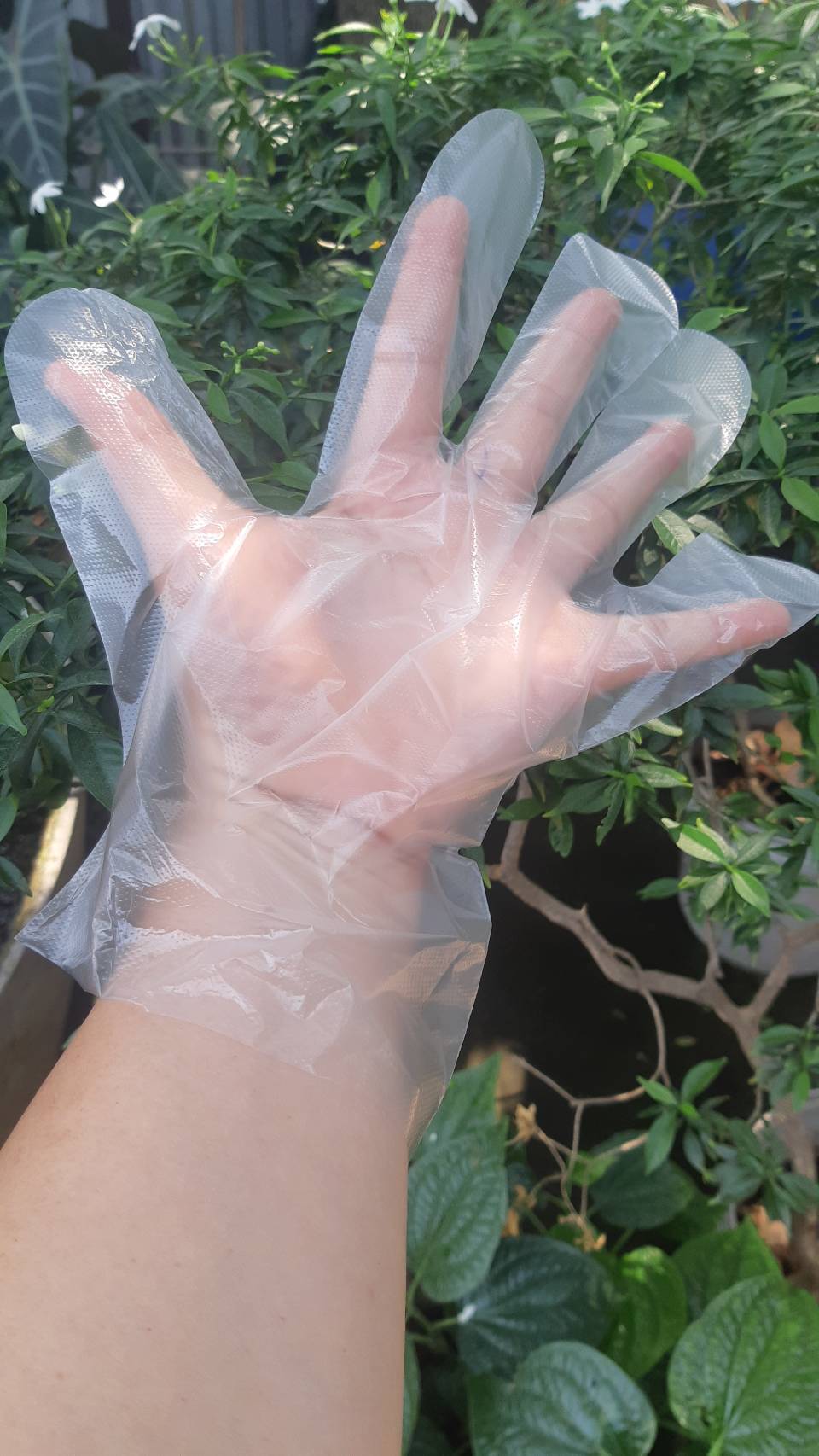ถุงมือพลาสติก HDPE GLOVE 100 ชิ้น/แพ็ค