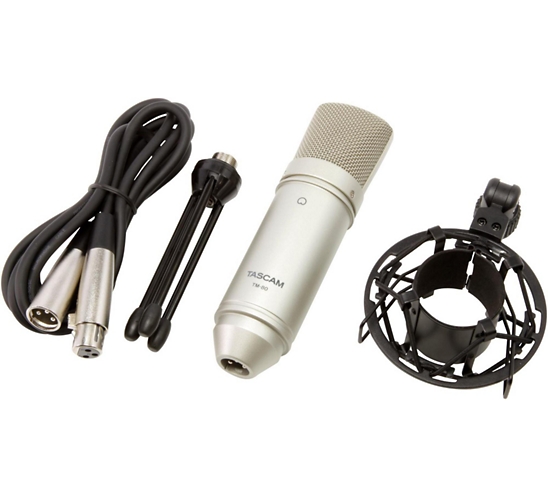 Tascam TM-80 Studio Condenser Microphone