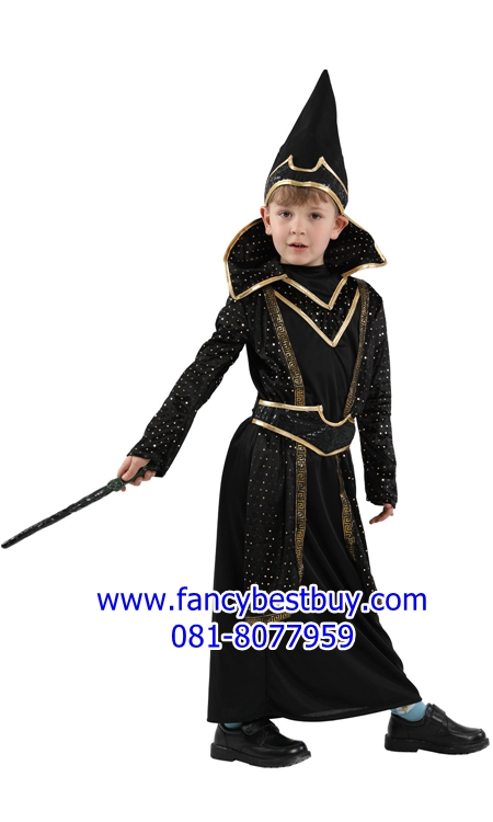 ชุดแฟนซีฮาโลวีน ชุดพ่อมด ชุดแฟนซีพ่อมด มีขนาด M, L, XL
