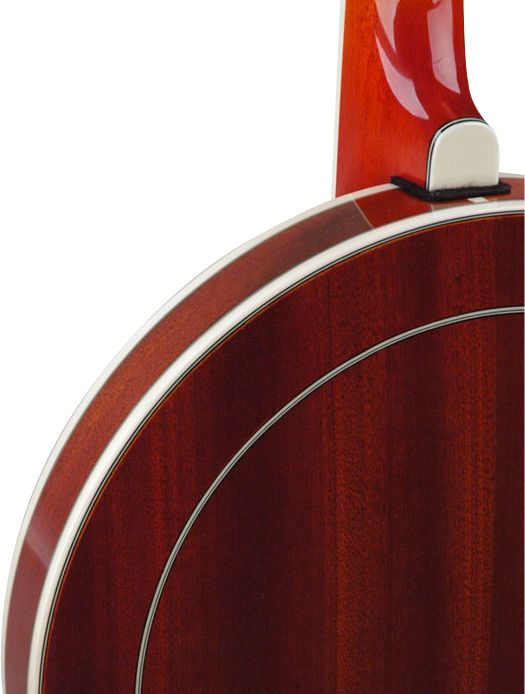 Recording King Bluegrass Series RK-R20 Songster Banjo