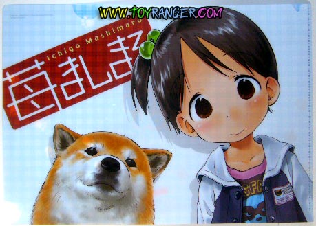 แฟ้ม Ichigo Mashimaro: Chika Ito (แท้)