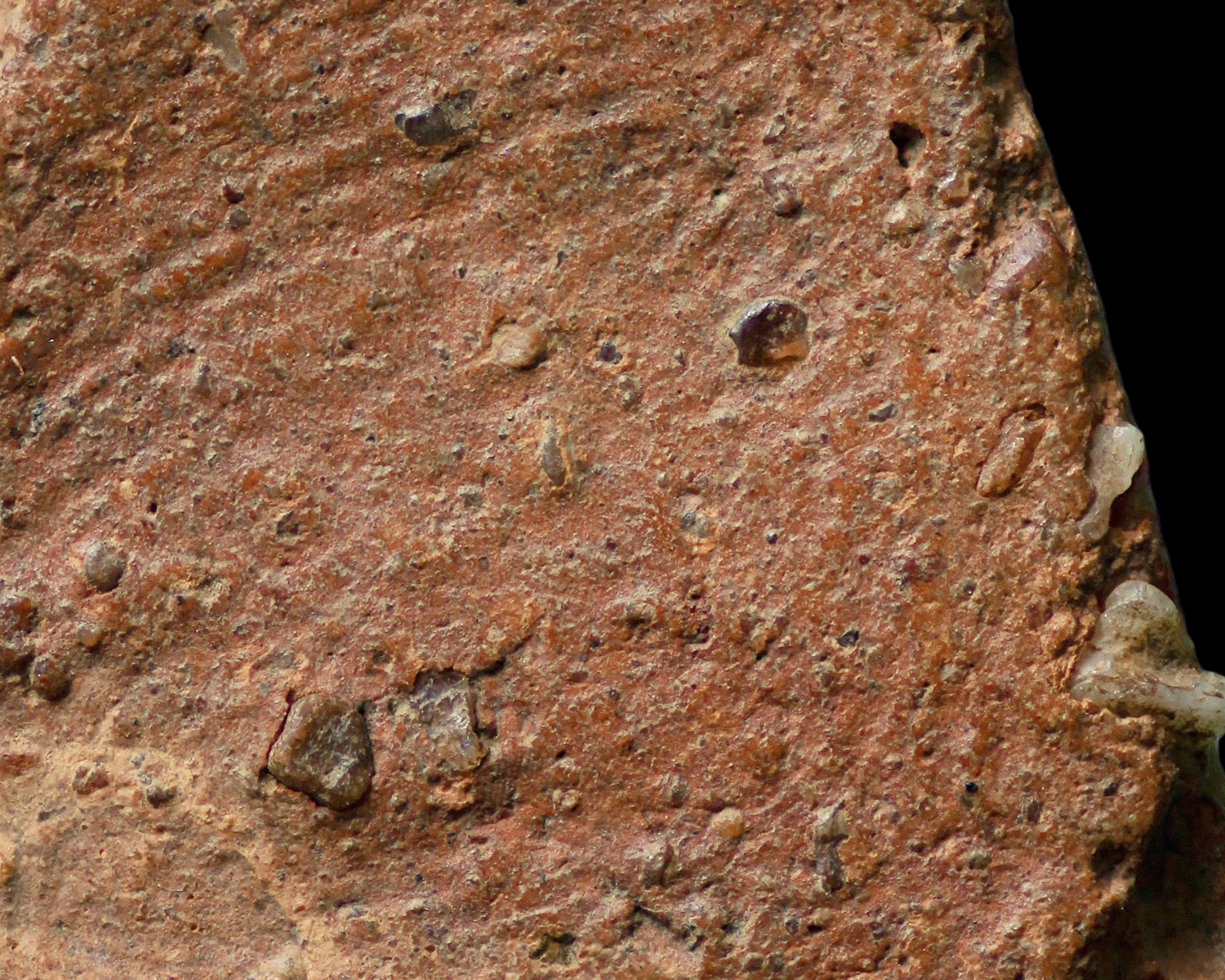 พระนางพญา พิมพ์สังฆาฏิ จ.พิษณุโลก(สถานะ โชว์)