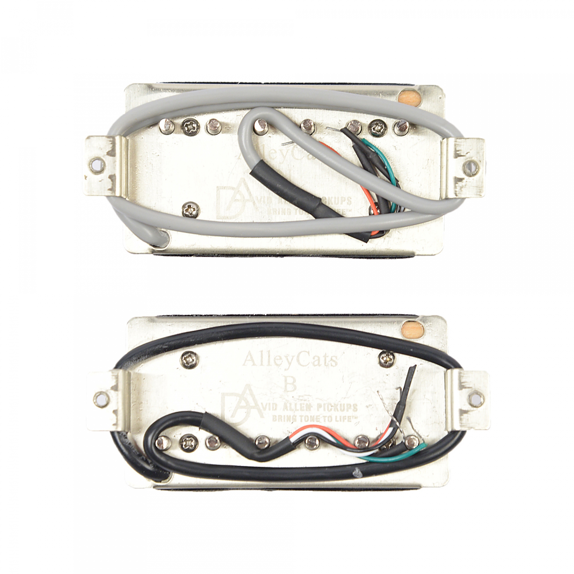 David Allen HB AlleyCats Zebra