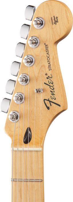 Fender Standard Stratocaster HSS Electric Guitar