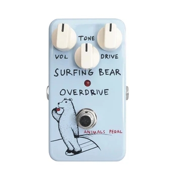 Animals Pedal Surfing Bear Overdrive