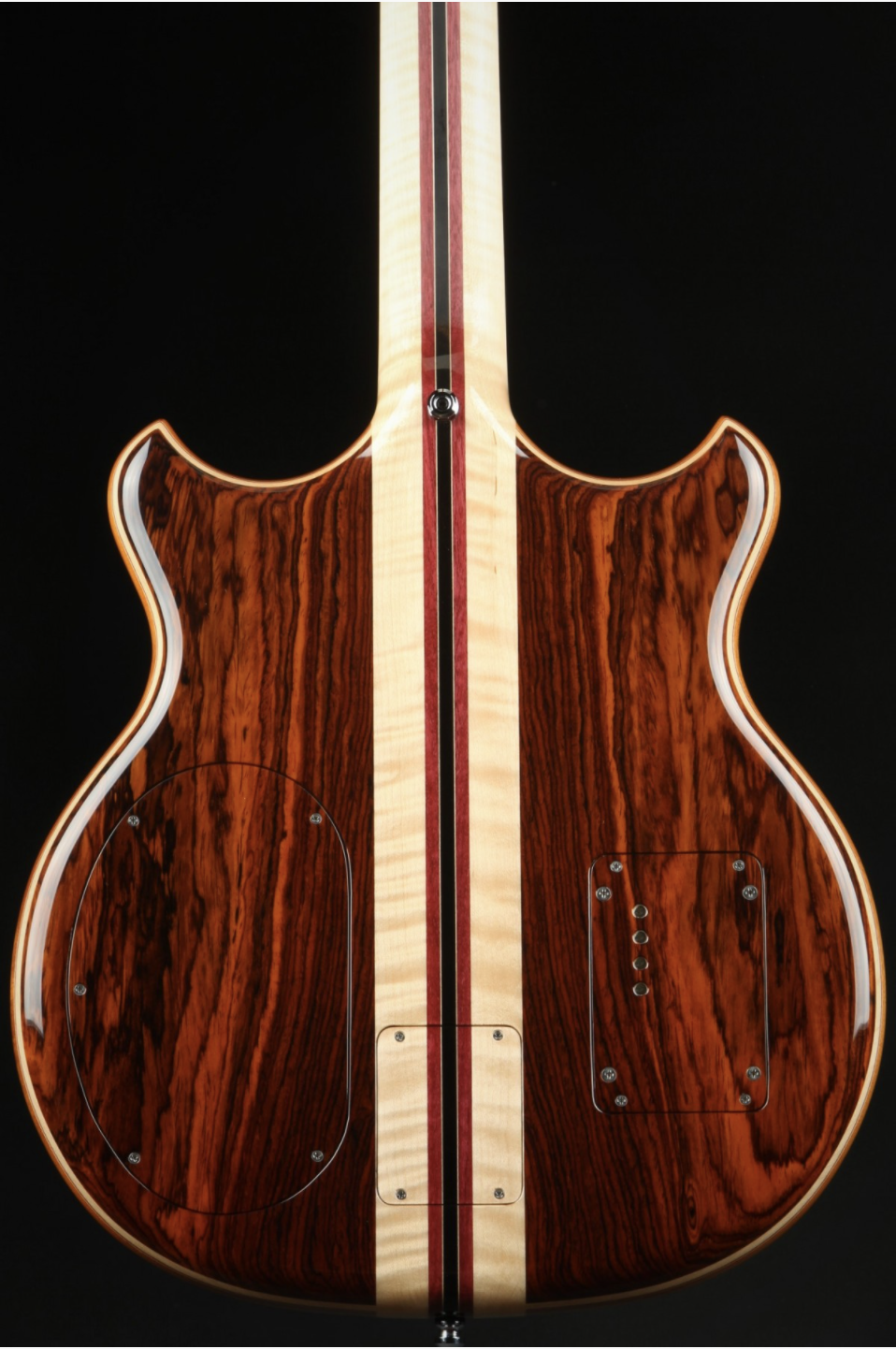 Alembic Series I - Cocobolo