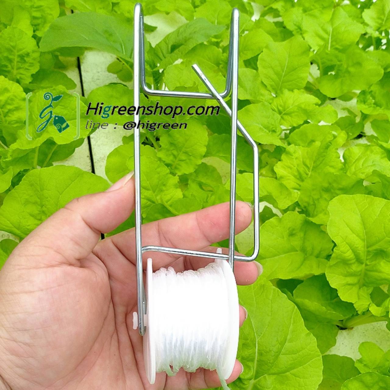 ชุดรอกแขวนเมล่อน จำนวน 2 ชิ้น