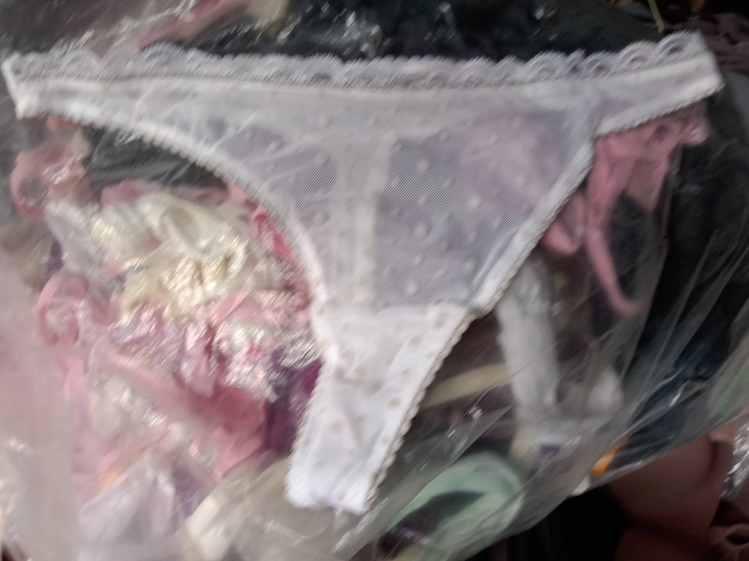 สต็อก กางเกงใน จีสตริง 5,000 ตัว