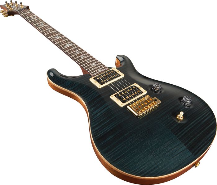 Paul Reed Smith Experience 2010 Custom 24 Wide-Thin Neck with Birds Electric Guitar