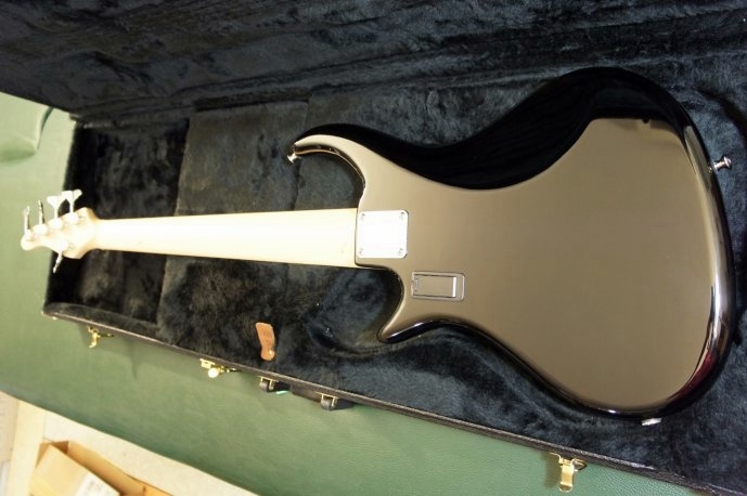 Pedulla Rapture J2 Black Maple 5 String