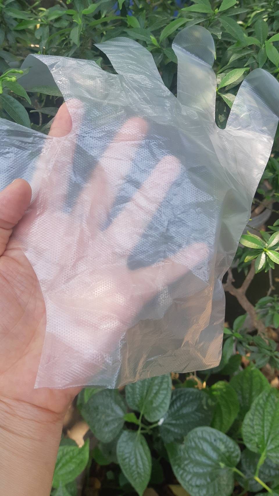 ถุงมือพลาสติก HDPE GLOVE 100 ชิ้น/แพ็ค