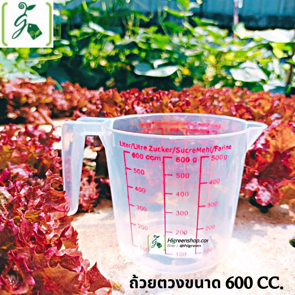 ถ้วยตวงขนาด 600 CC.
