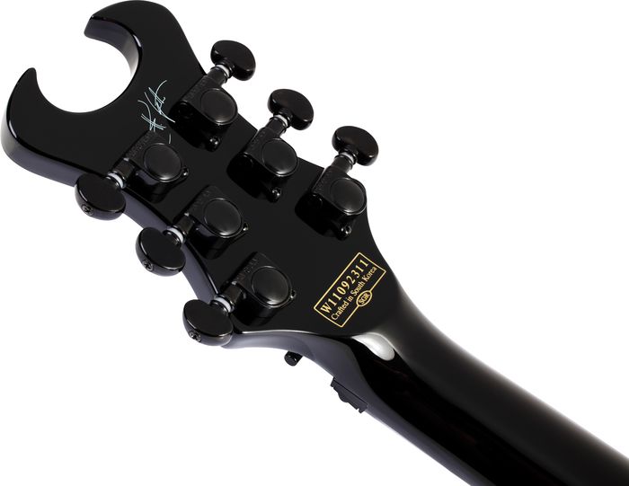 Schecter Guitar Research Synyster Gates Custom w/ Sustaniac Pickup Electric Guitar Black