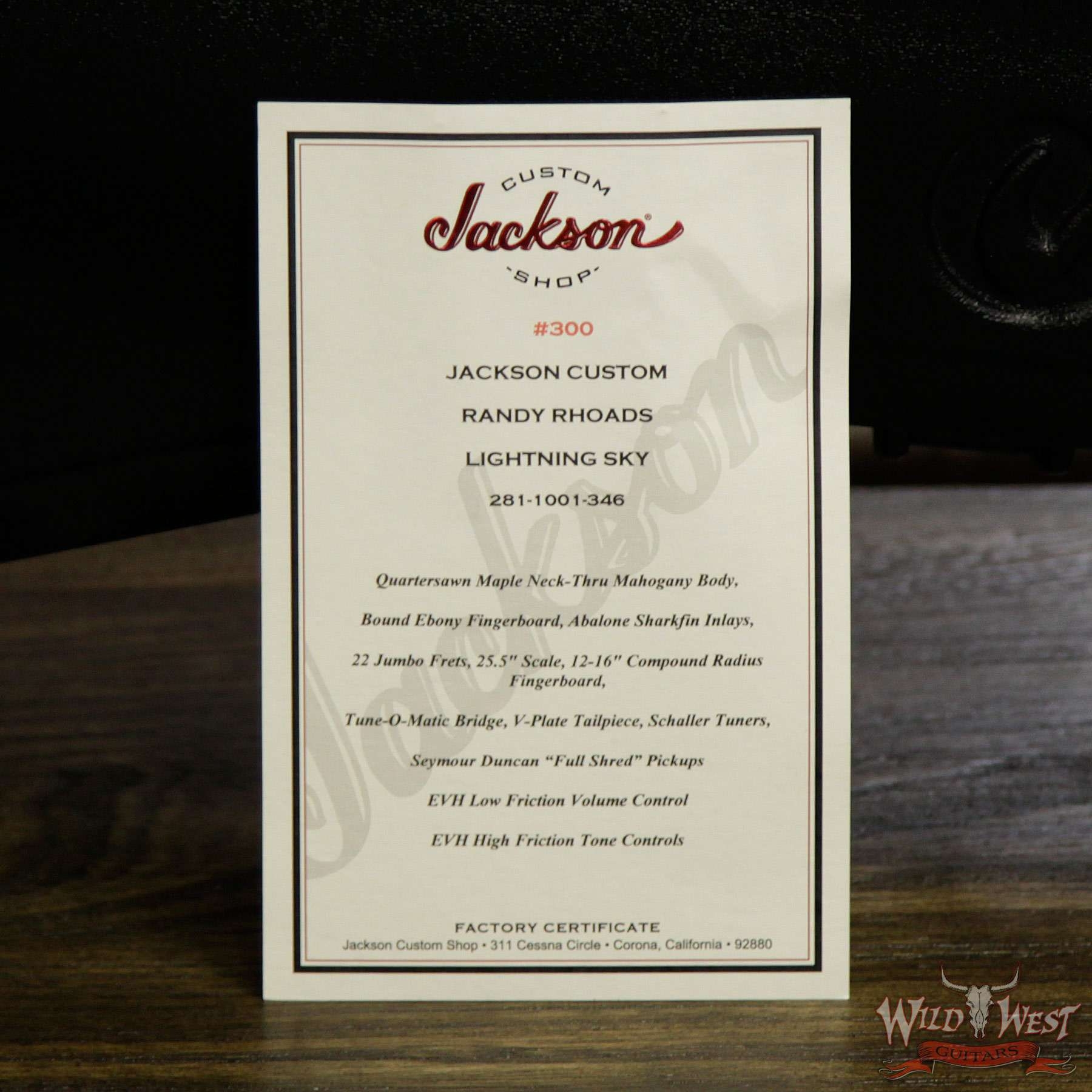 Jackson Custom Shop Randy Rhoads RR1T Mahogany Body Lightning Sky Graphic By Dan Lawrance