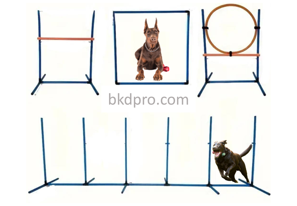 เช็ตเครื่องเล่นสนามสุนัข ฝึกน้องหมา pvc , เครื่องเล่นสุนัข, ของเล่นหมา, ฝึกสุนัข, กระโดด ,อุปกรณ์เสริมสำหรับสุนัข ,พร้อมส่ง dog playground training