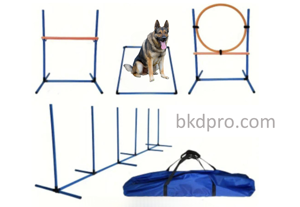 เช็ตเครื่องเล่นสนามสุนัข ฝึกน้องหมา pvc , เครื่องเล่นสุนัข, ของเล่นหมา, ฝึกสุนัข, กระโดด ,อุปกรณ์เสริมสำหรับสุนัข ,พร้อมส่ง dog playground training