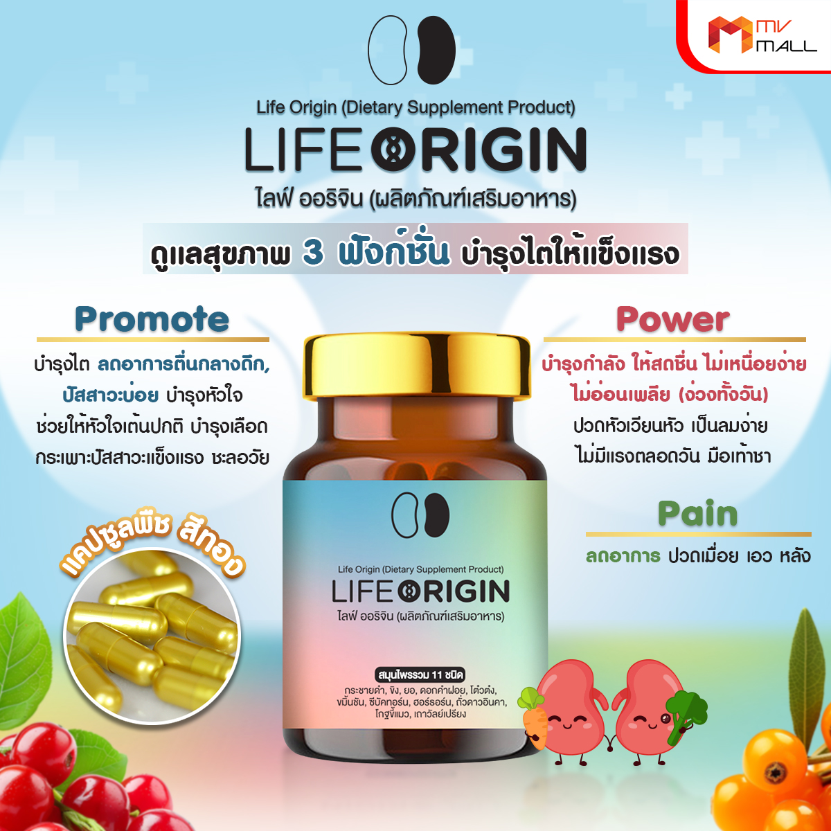 ไลฟ์ ออริจิ้น (Life Origin) สมุนไพรบำรุงไต บำรุงหัวใจ บำรุงเลือด 3 ขวด พร้อมของแถม