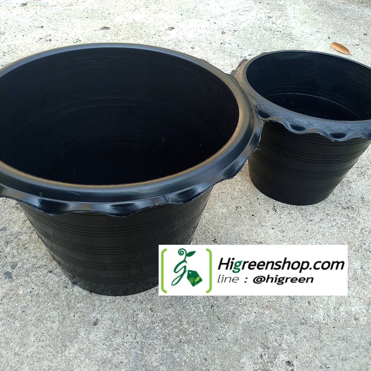 กระถางบัว ขนาด 12 นิ้ว