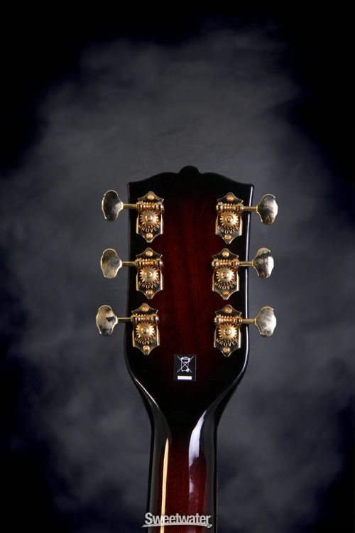 Washburn WSD5240 Warren Haynes Signature Model - Natural