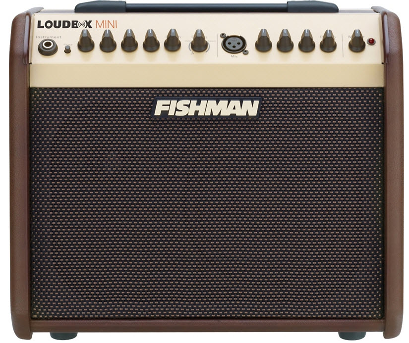 Fishman Loudbox Mini PRO-LBX-500 60W 1x6.5 Acoustic Combo Amp Brown