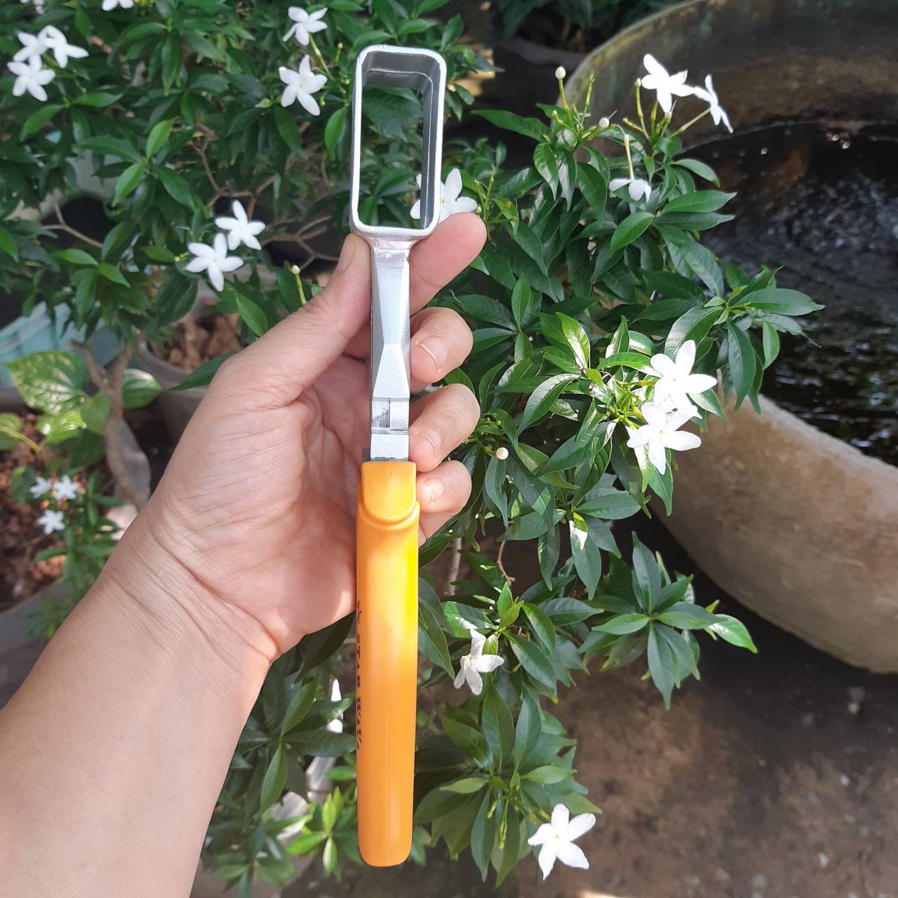 คีมตอนกิ่ง (คละสี)