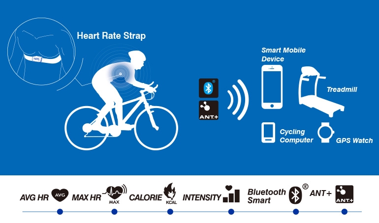 Alatech Heart rate Ant+ and Bluetooth (CS012) วัดการเต้นหัวใจ
