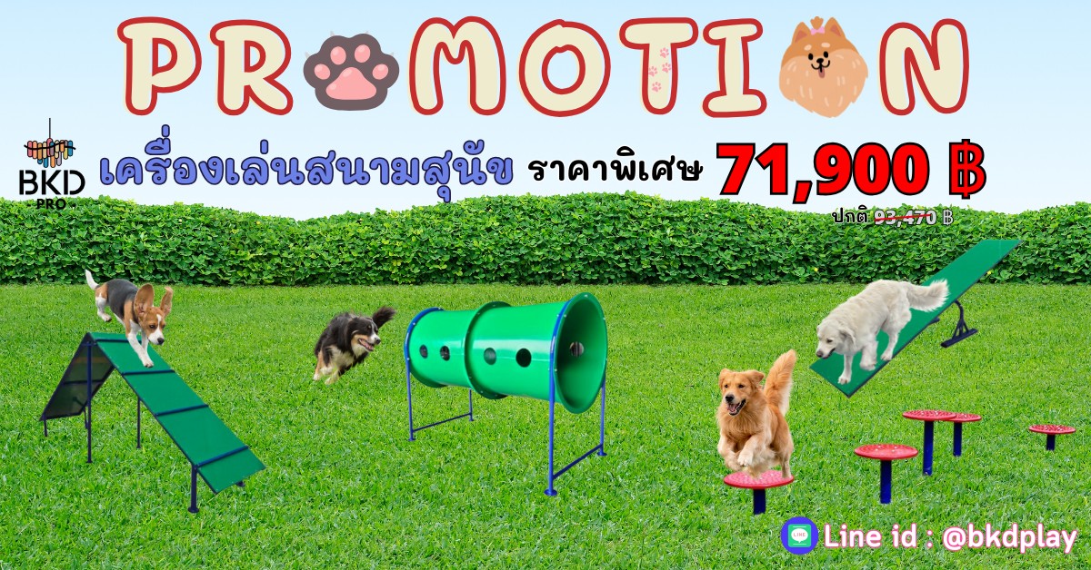 เครื่องเล่นสนามสุนัขจัดเซ็ท ราคาโปรโมชั่น 71,900 บาท, ฝึกสุนัข ,อุปกรณ์เสริมน้องหมา dog playground