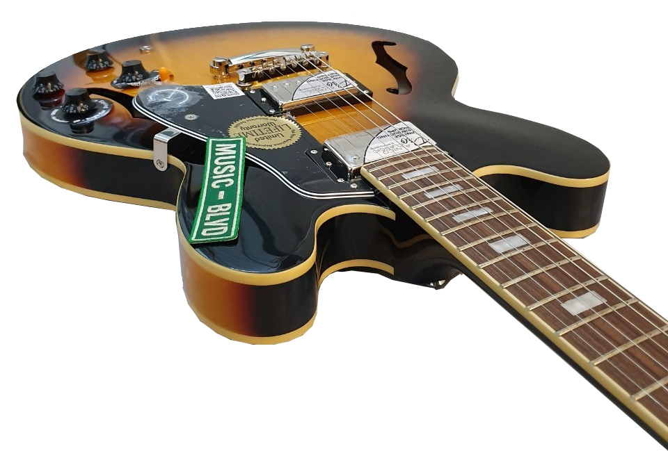 Epiphone Limited Edition ES-335 PRO Electric Guitar