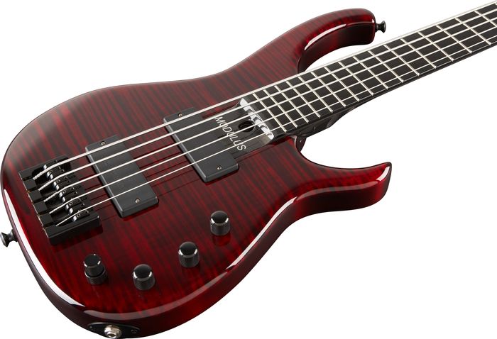Modulus Guitars Quantum 5 5 String Bass with 5A Flamed Maple Top