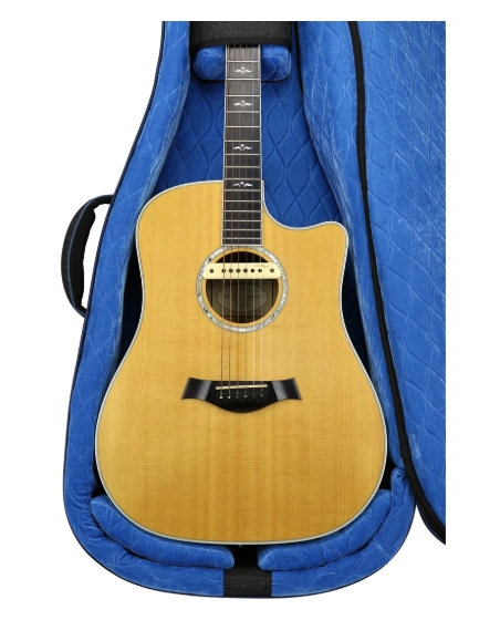 Reunion Blues RB Continental Voyager Dreadnought Case