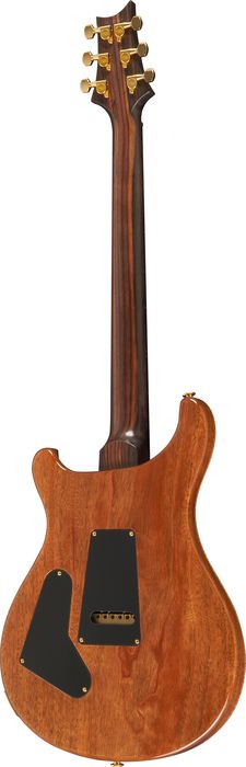 Paul Reed Smith Experience 2010 Custom 24 Wide-Thin Neck with Birds Electric Guitar