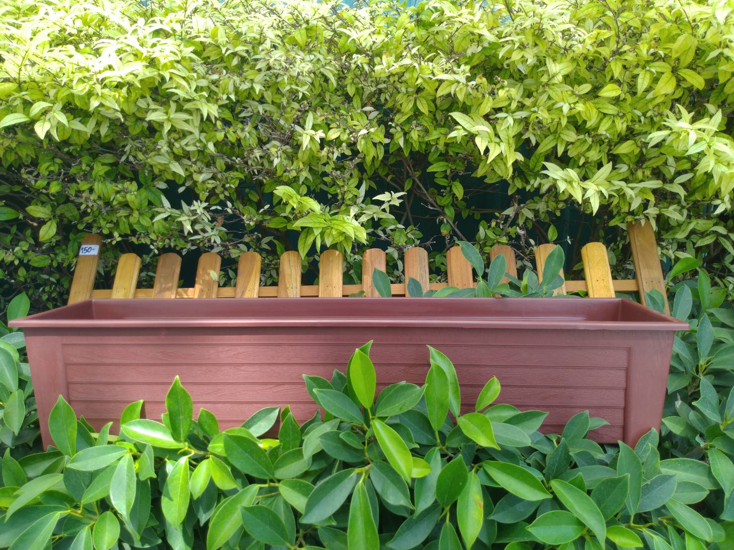 กระถางยาว กระถางปลูกต้นไม้ แบบยาว 1 ใบ (เลือกสีได้)